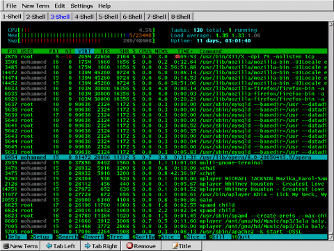 htop.png